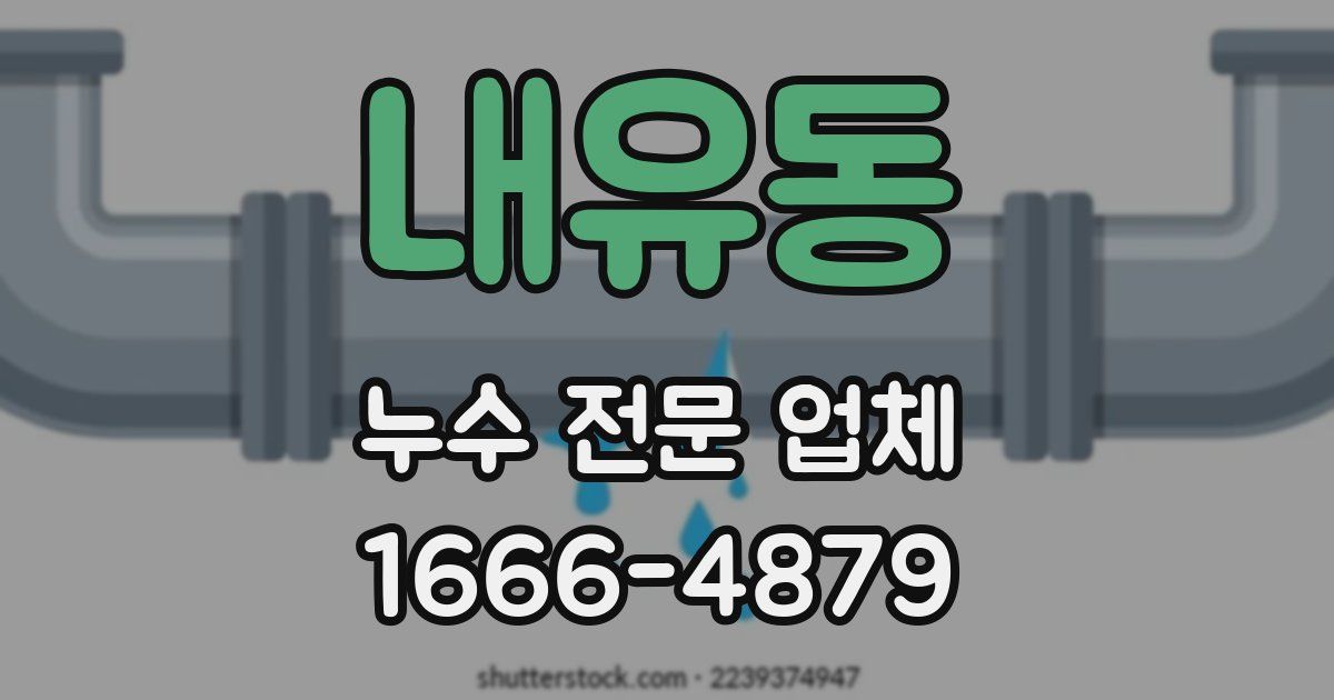 내유동 누수 전문 업체