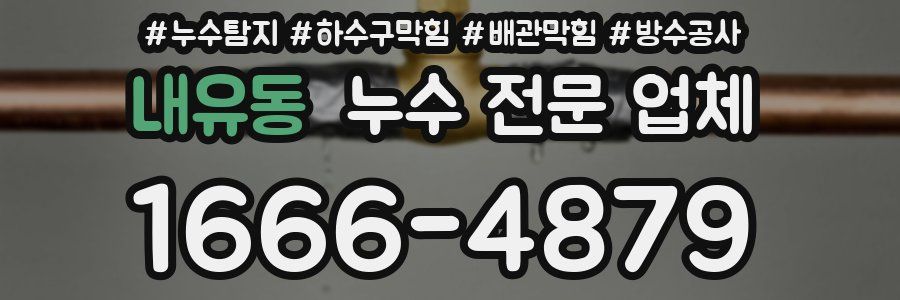 내유동 누수 전문 업체