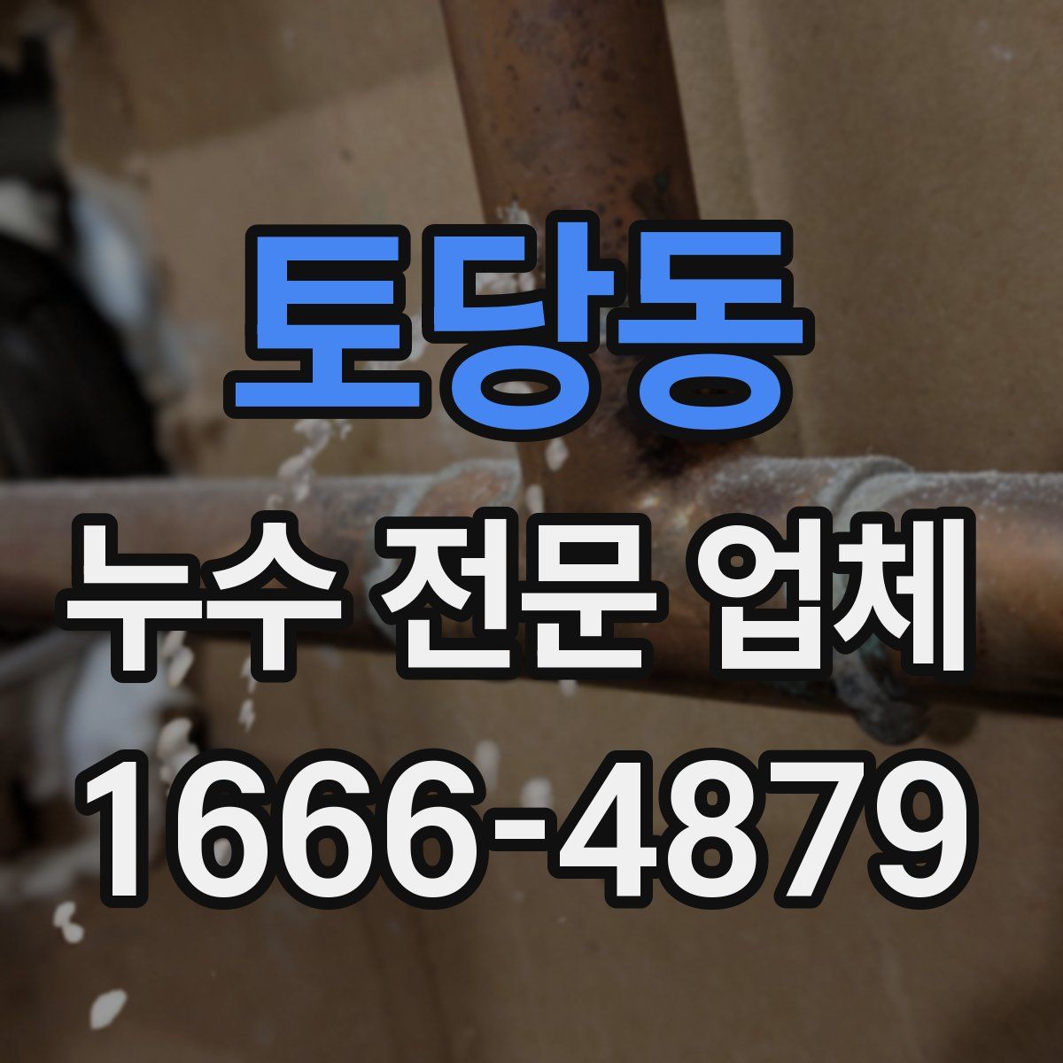 토당동 누수 전문 업체