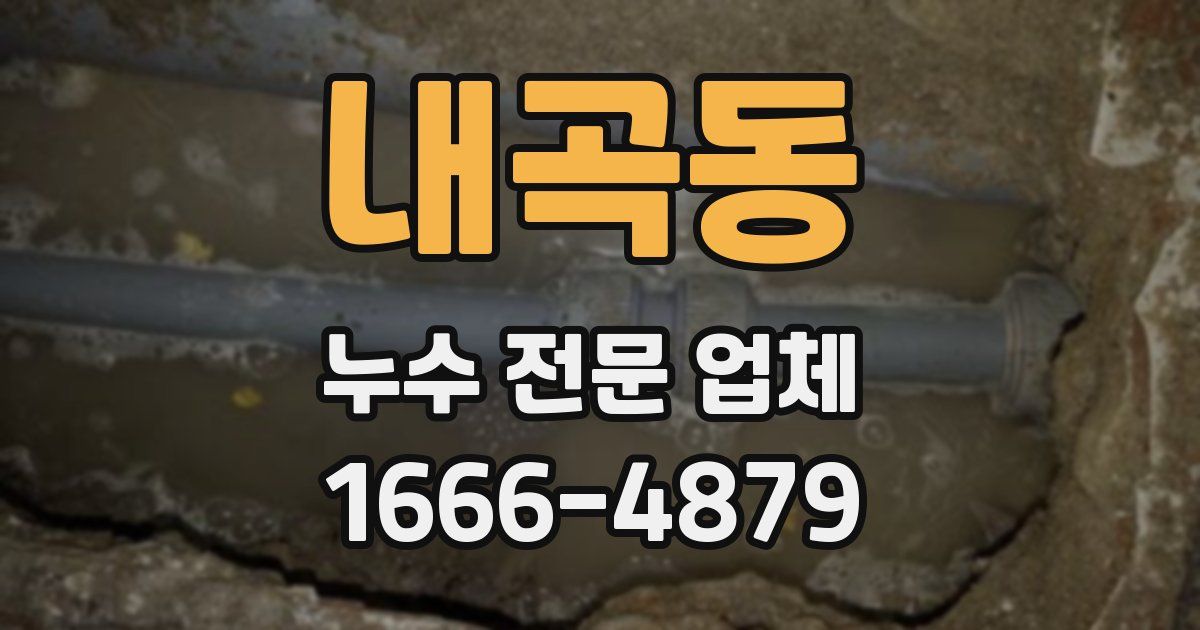 내곡동 누수 전문 업체