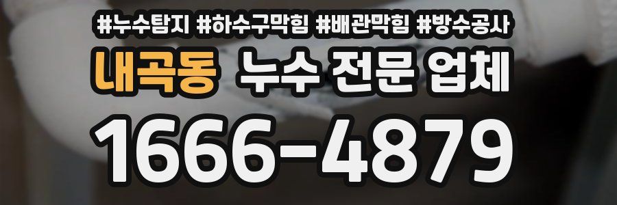 내곡동 누수 전문 업체