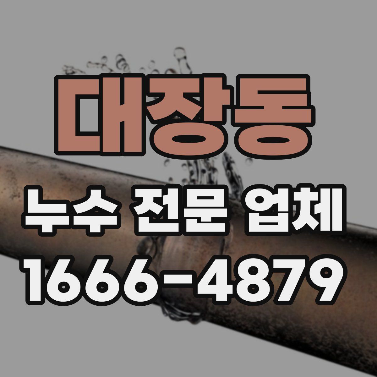 대장동 누수 전문 업체