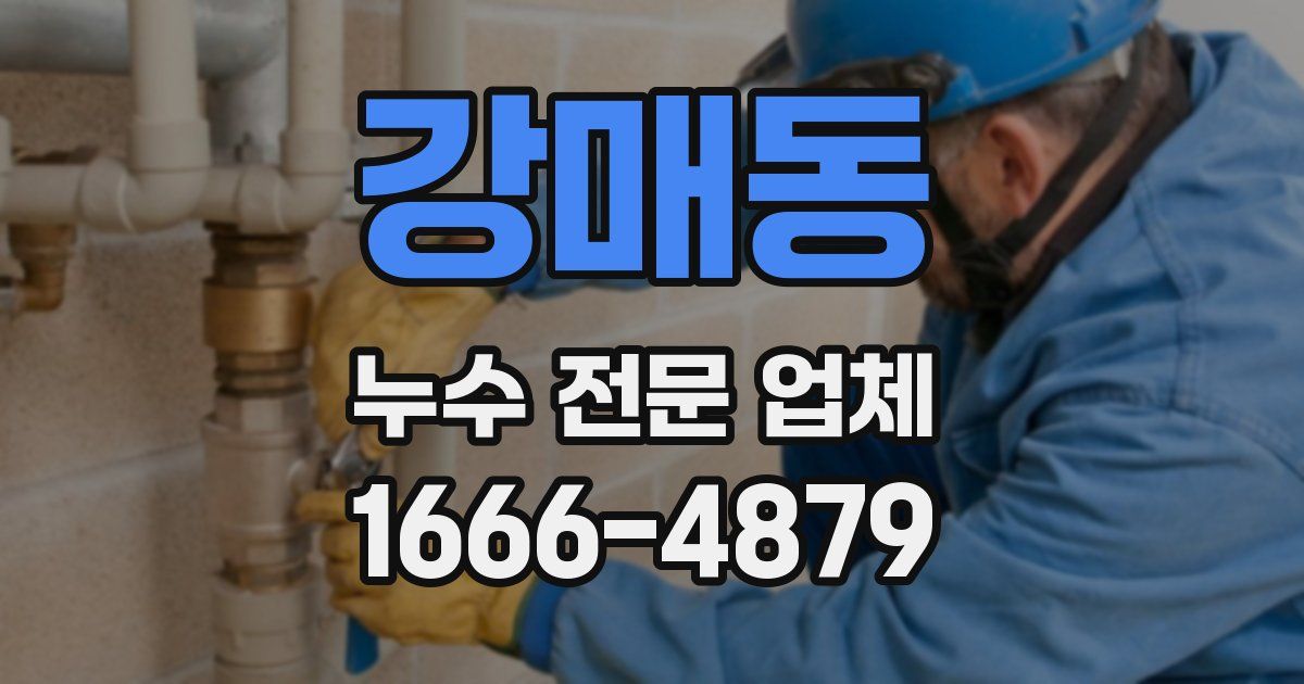 강매동 누수 전문 업체