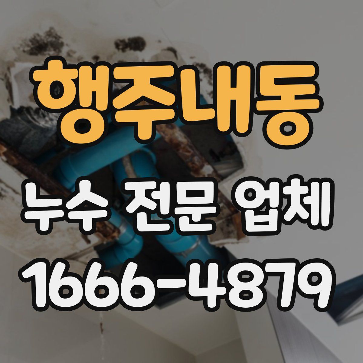 행주내동 누수 전문 업체