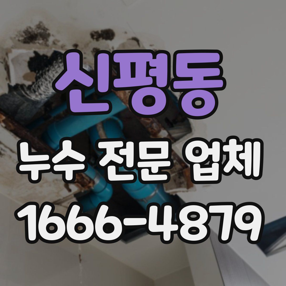 신평동 누수 전문 업체