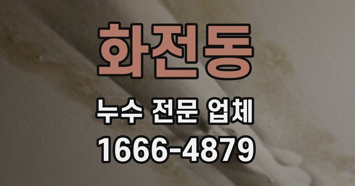 화전동 누수 전문 업체