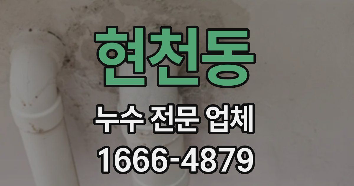 현천동 누수 전문 업체