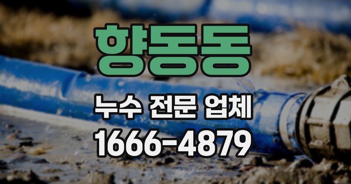 향동동 누수 전문 업체