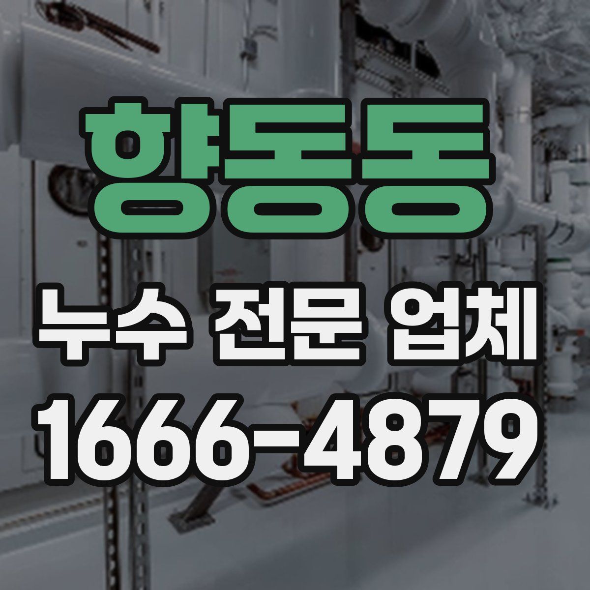 향동동 누수 전문 업체