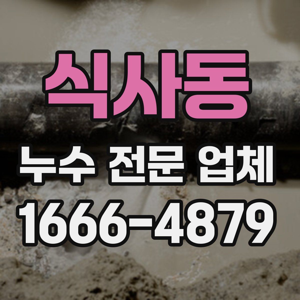 식사동 누수 전문 업체