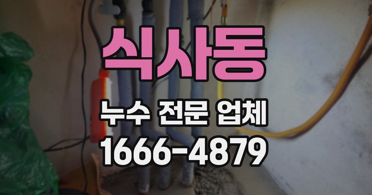 식사동 누수 전문 업체