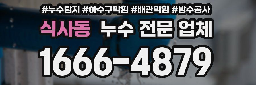 식사동 누수 전문 업체