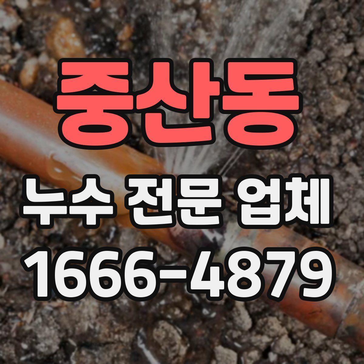 중산동 누수 전문 업체