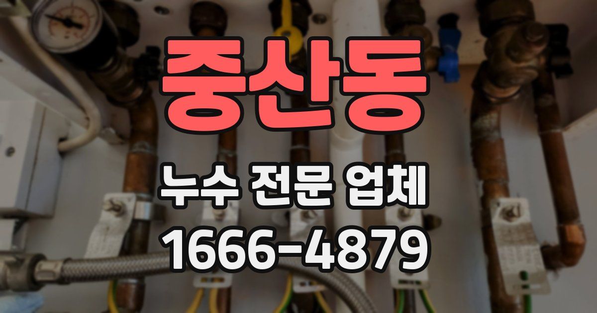 중산동 누수 전문 업체