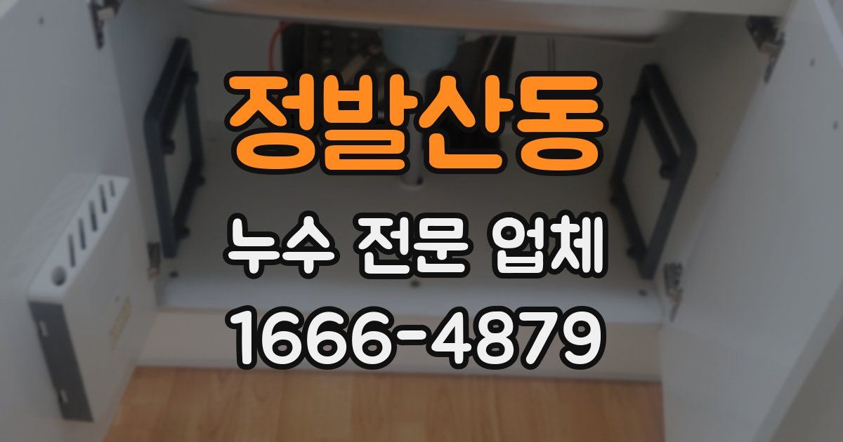 정발산동 누수 전문 업체