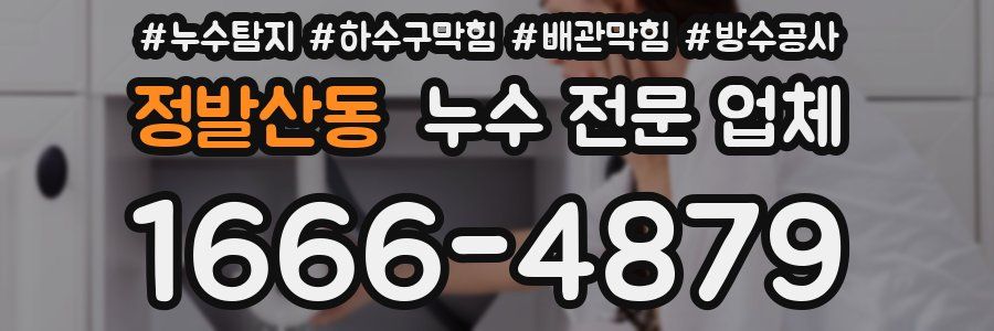 정발산동 누수 전문 업체