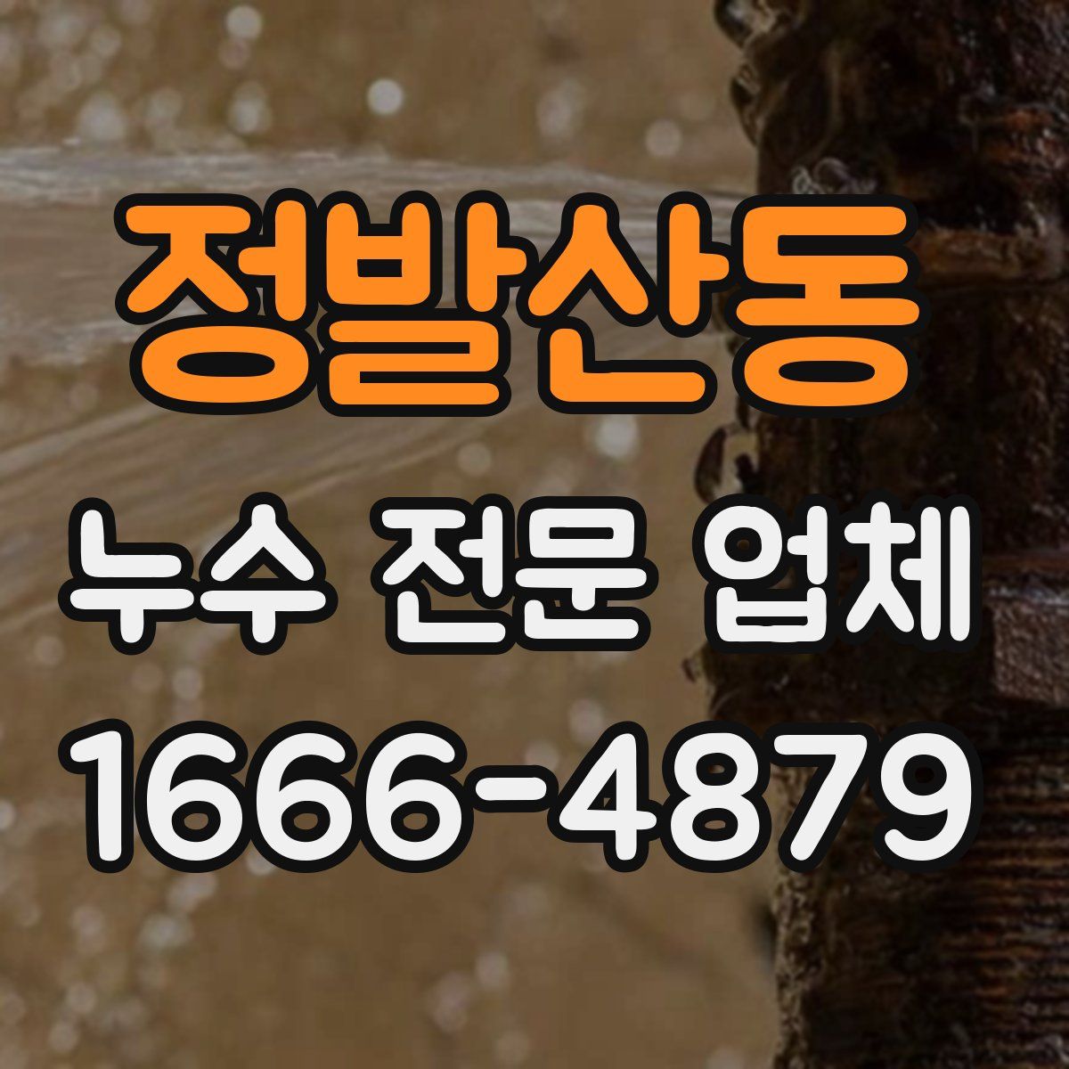 정발산동 누수 전문 업체