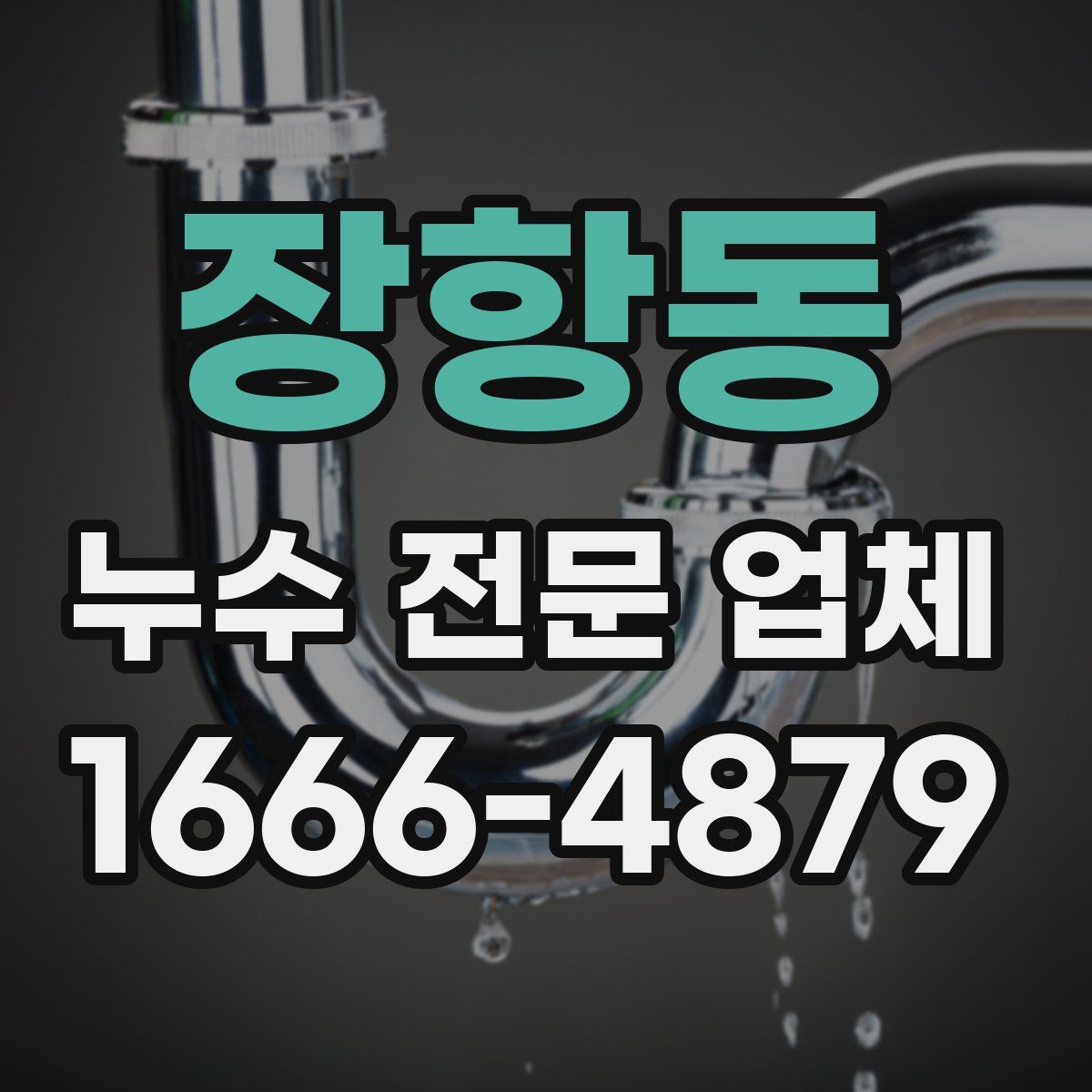 장항동 누수 전문 업체
