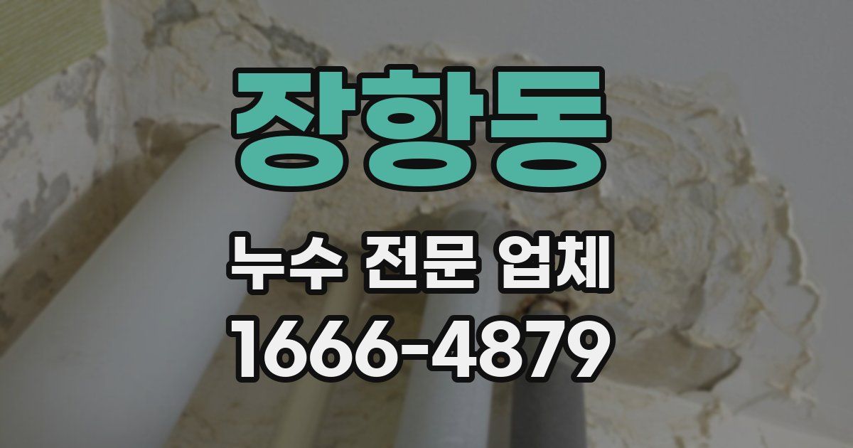 장항동 누수 전문 업체