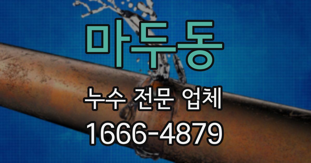 마두동 누수 전문 업체