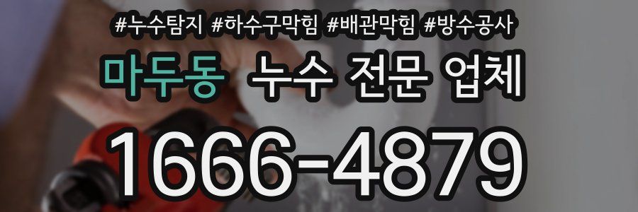 마두동 누수 전문 업체
