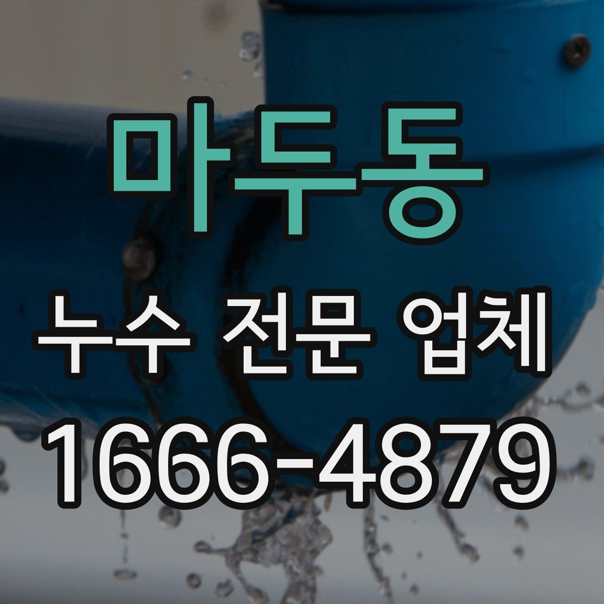 마두동 누수 전문 업체