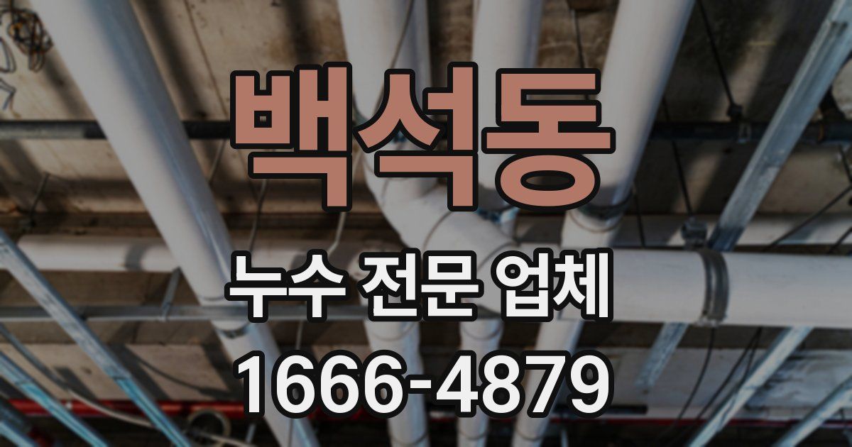 백석동 누수 전문 업체