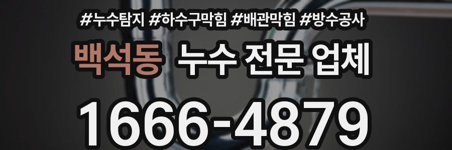 백석동 누수 전문 업체