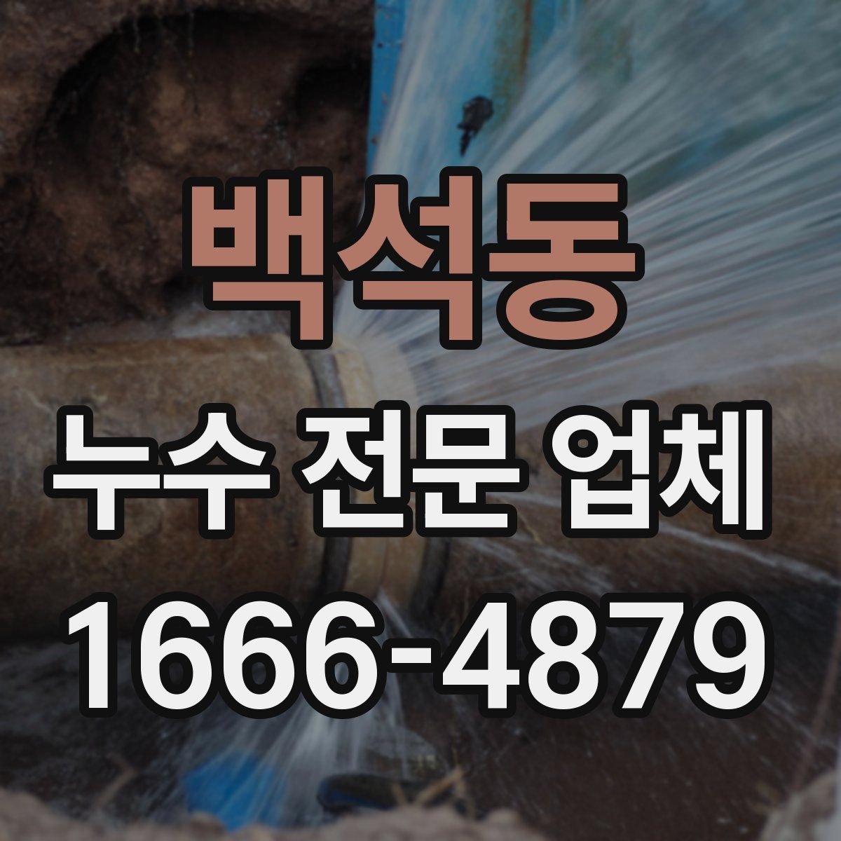 백석동 누수 전문 업체