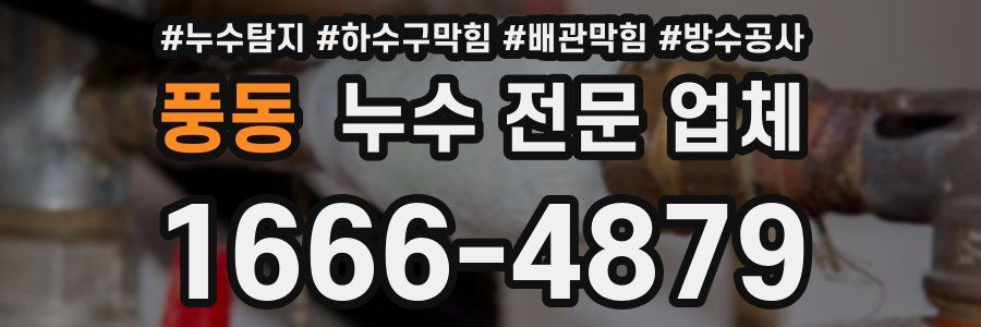 풍동 누수 전문 업체