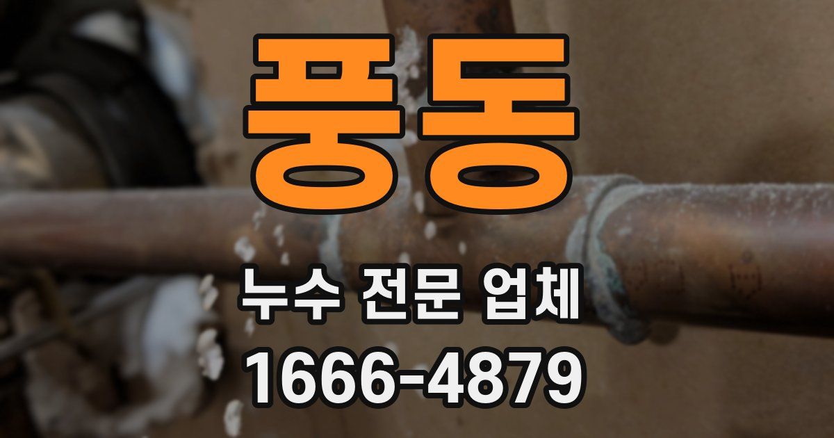 풍동 누수 전문 업체