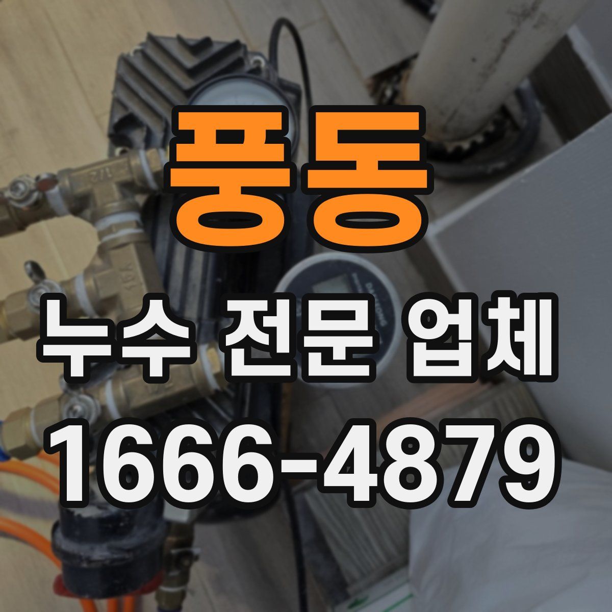 풍동 누수 전문 업체
