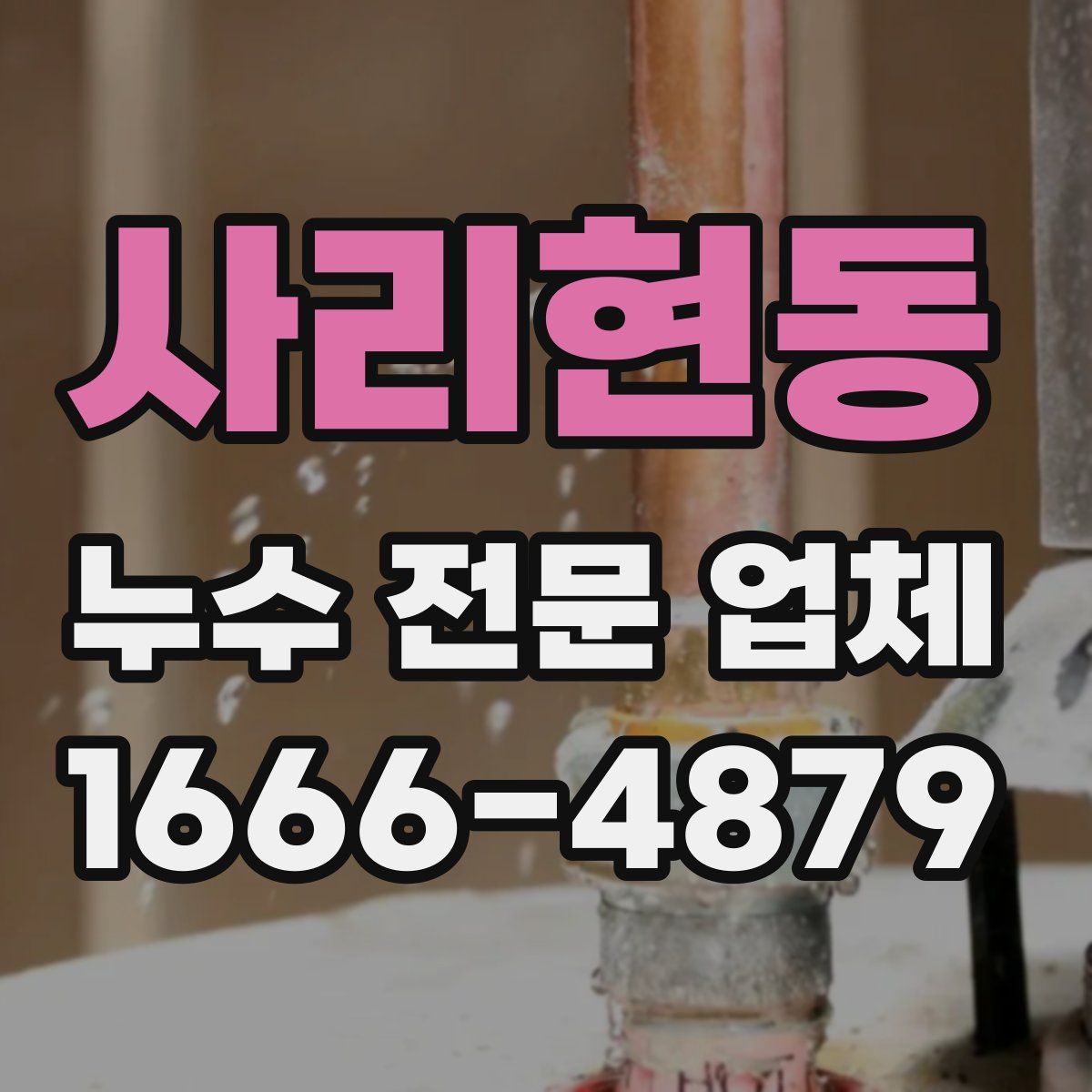 사리현동 누수 전문 업체