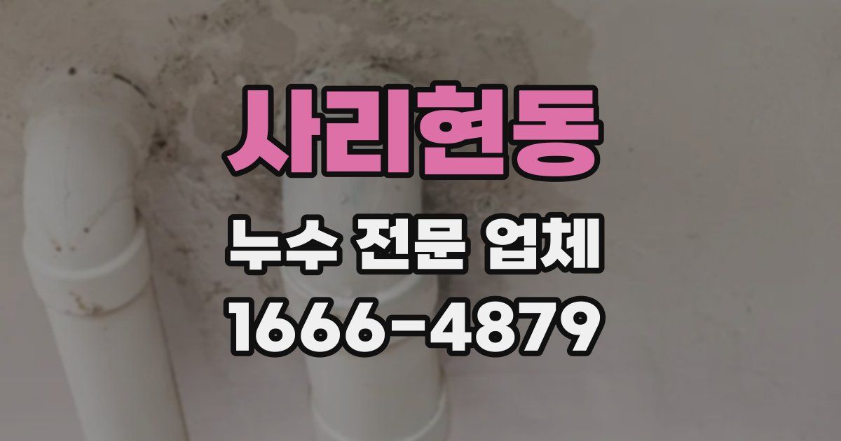 사리현동 누수 전문 업체