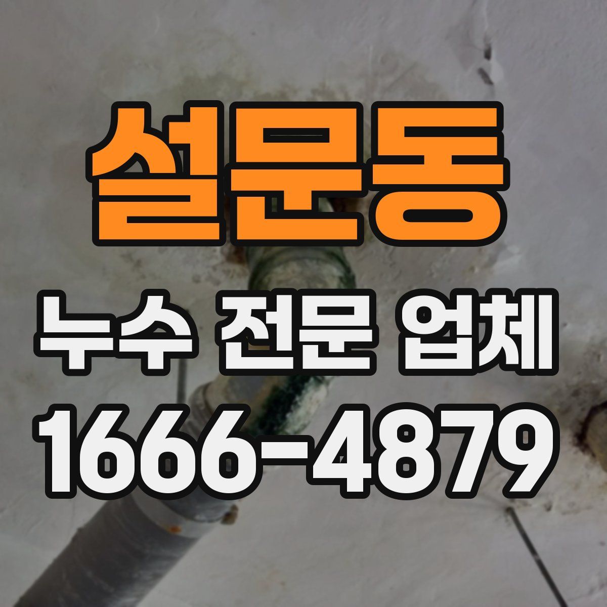 설문동 누수 전문 업체