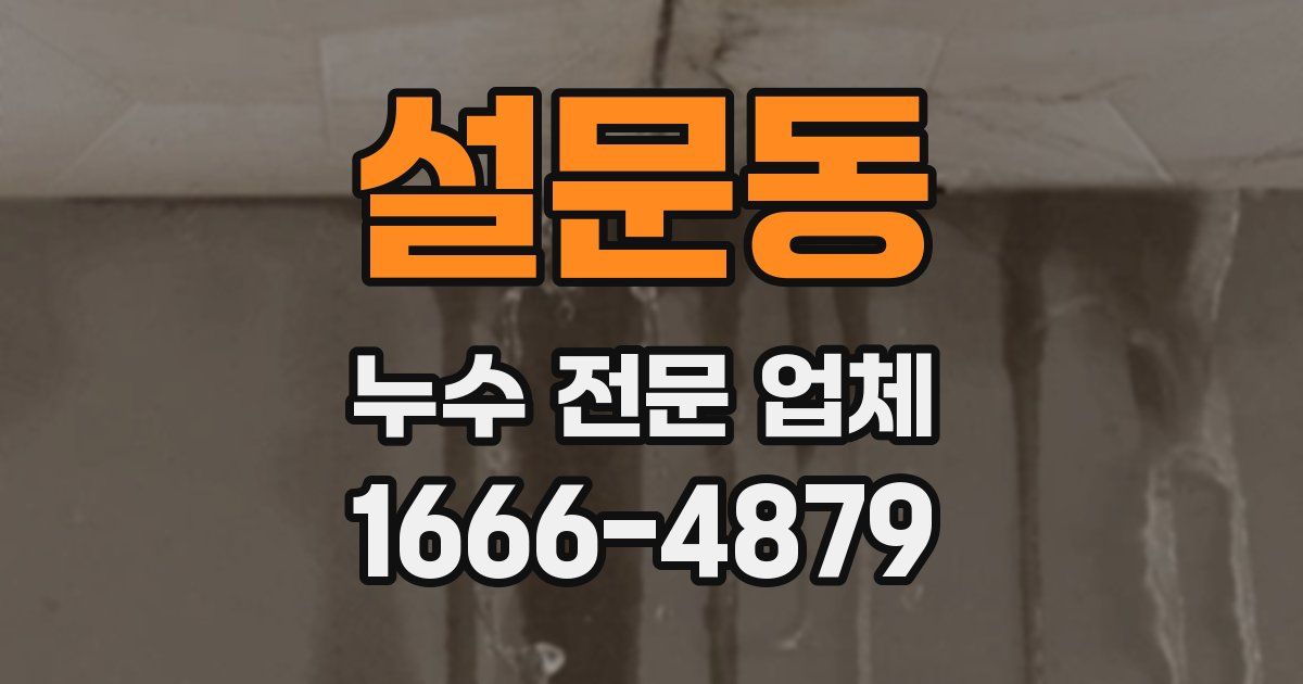설문동 누수 전문 업체