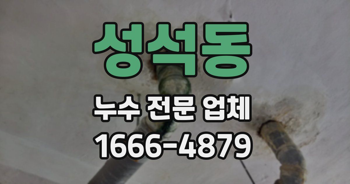 성석동 누수 전문 업체
