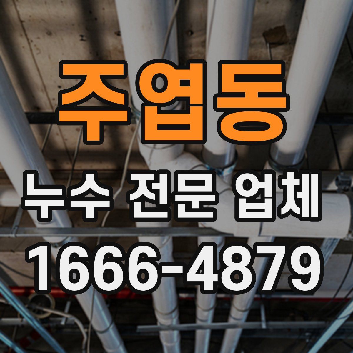 주엽동 누수 전문 업체