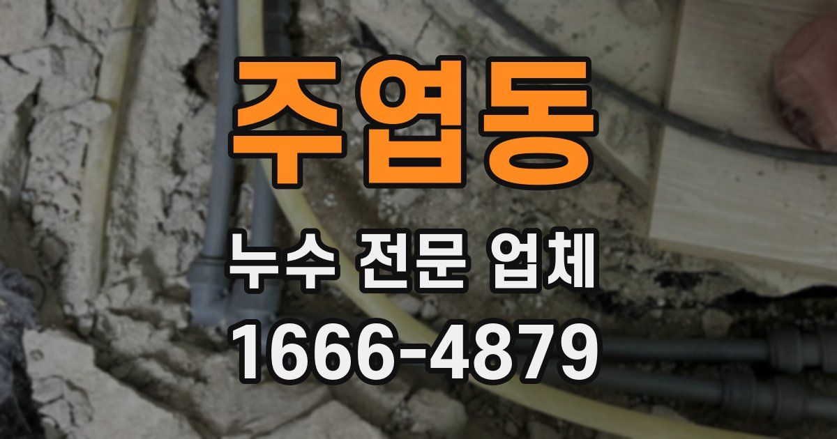 주엽동 누수 전문 업체