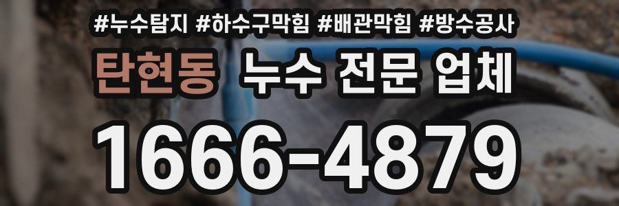 탄현동 누수 전문 업체