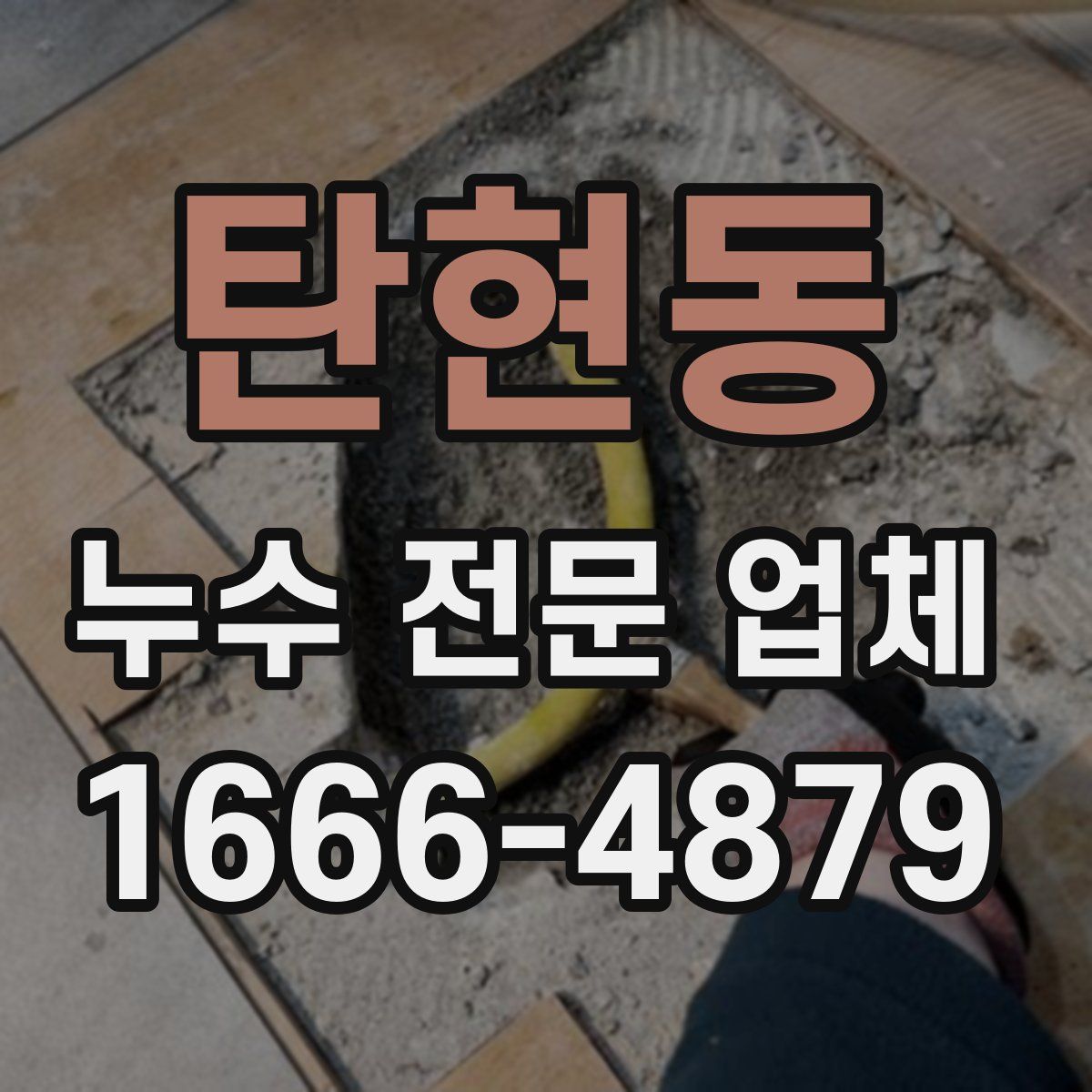 탄현동 누수 전문 업체