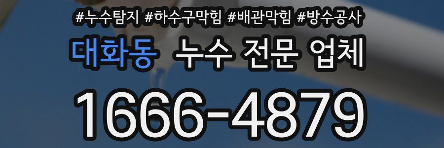 대화동 누수 전문 업체