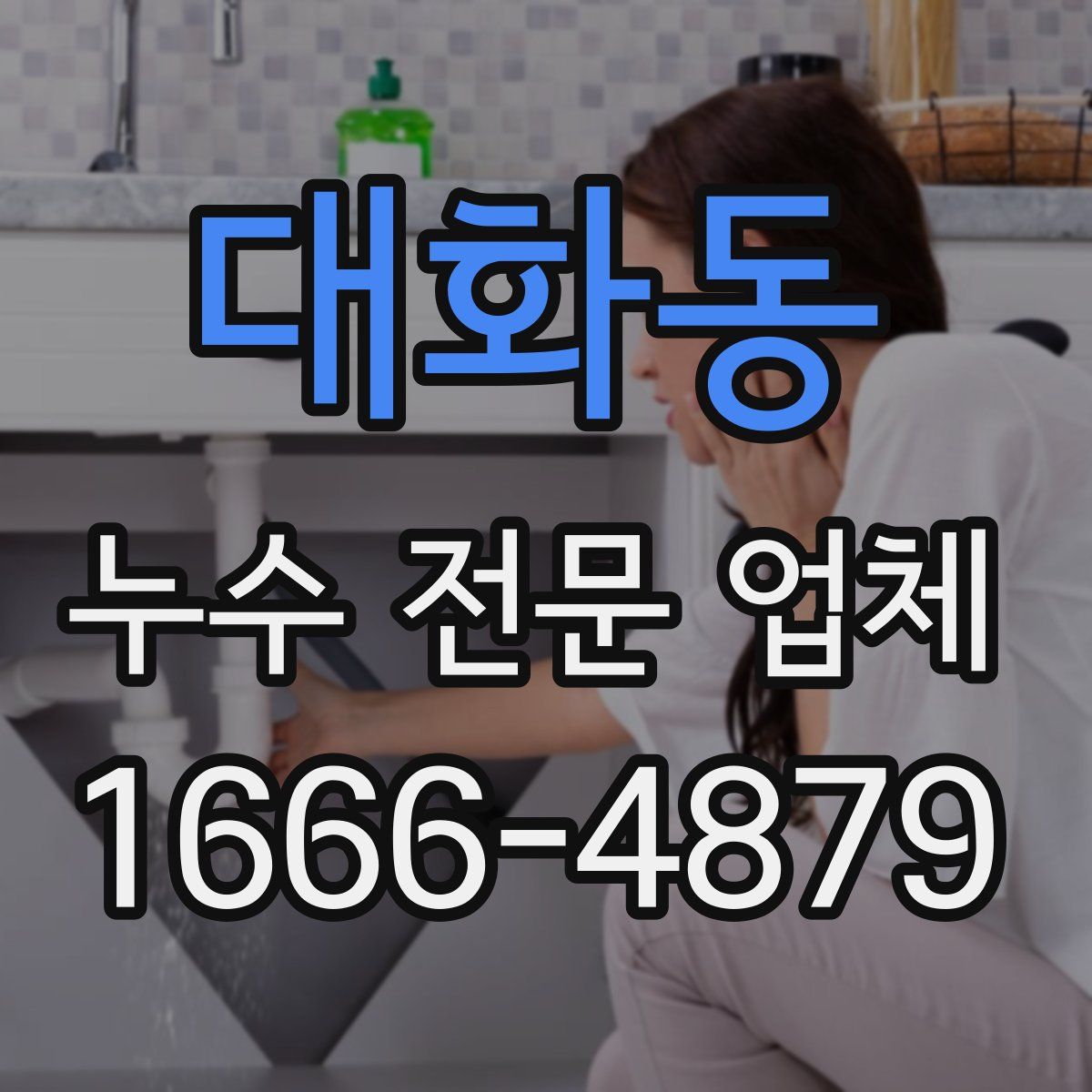 대화동 누수 전문 업체