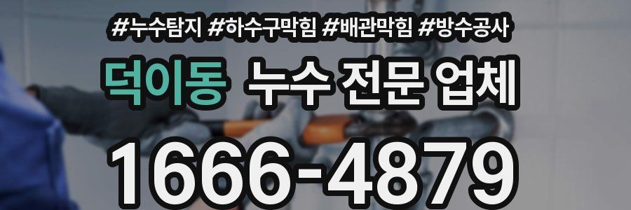 덕이동 누수 전문 업체