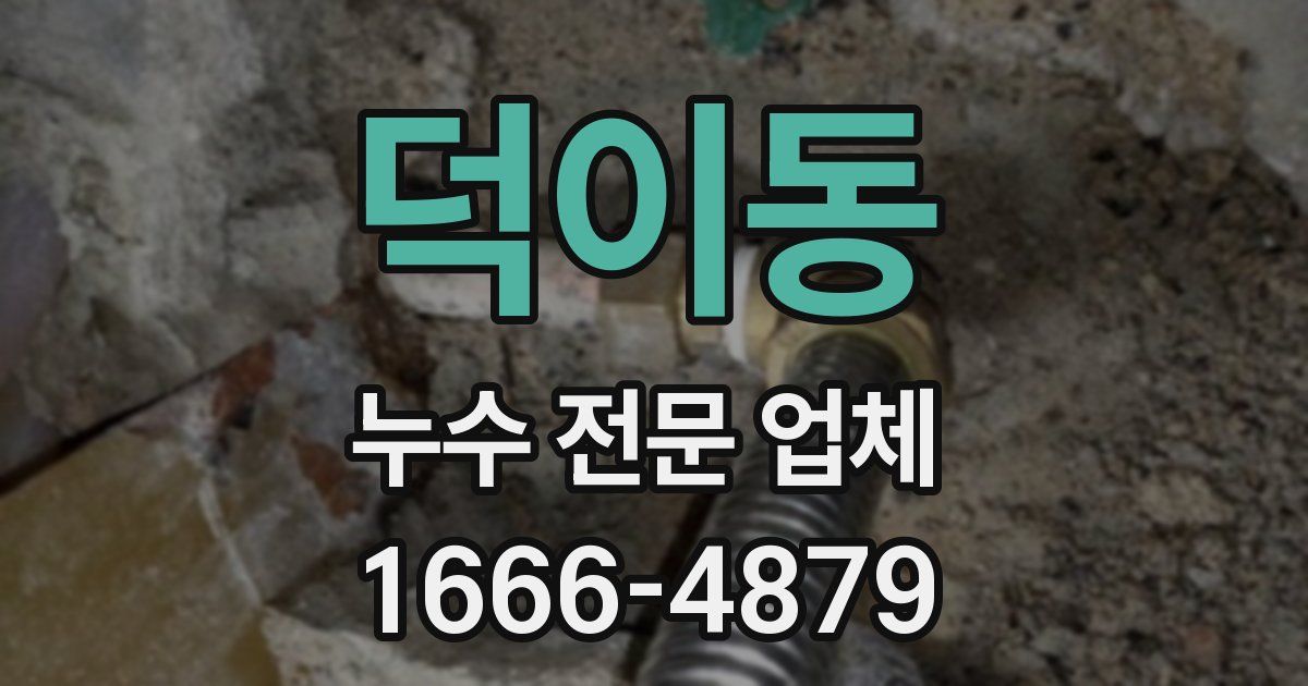 덕이동 누수 전문 업체