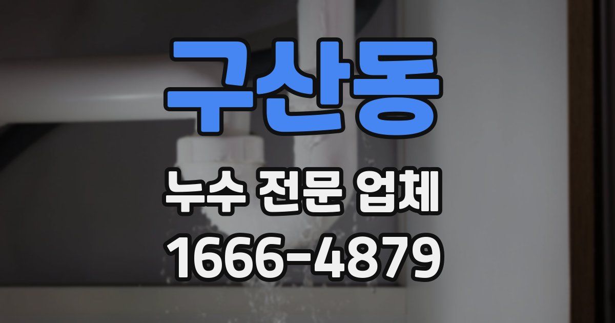 구산동 누수 전문 업체