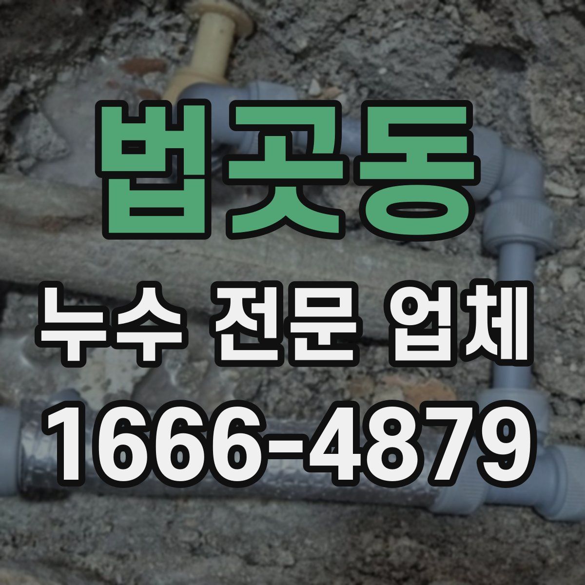 법곳동 누수 전문 업체