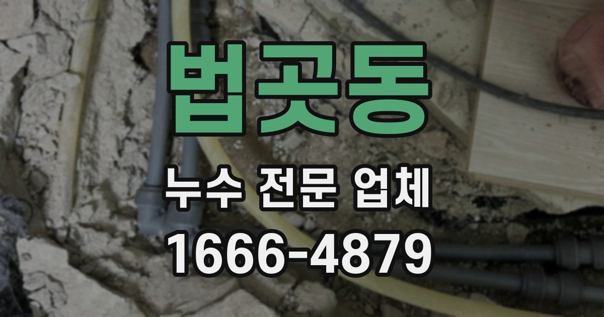 법곳동 누수 전문 업체