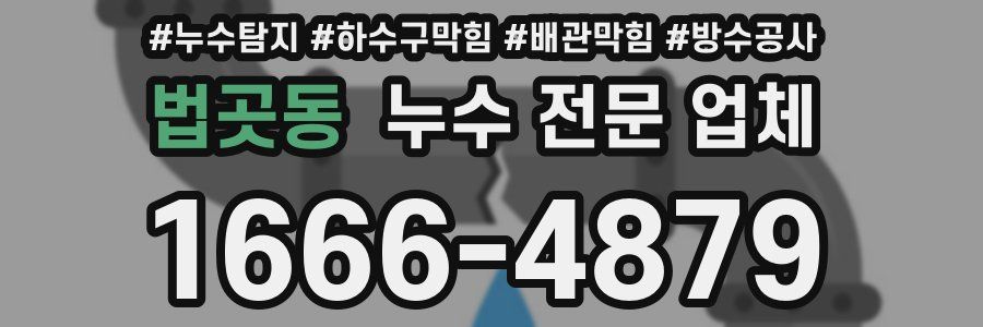 법곳동 누수 전문 업체