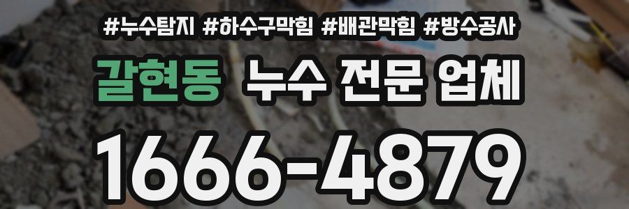 갈현동 누수 전문 업체